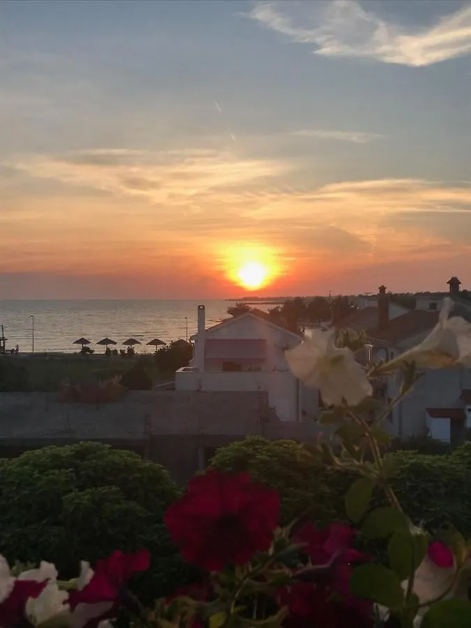 Apartments Vuzi - 100M From Sea Zaton (Zadar)